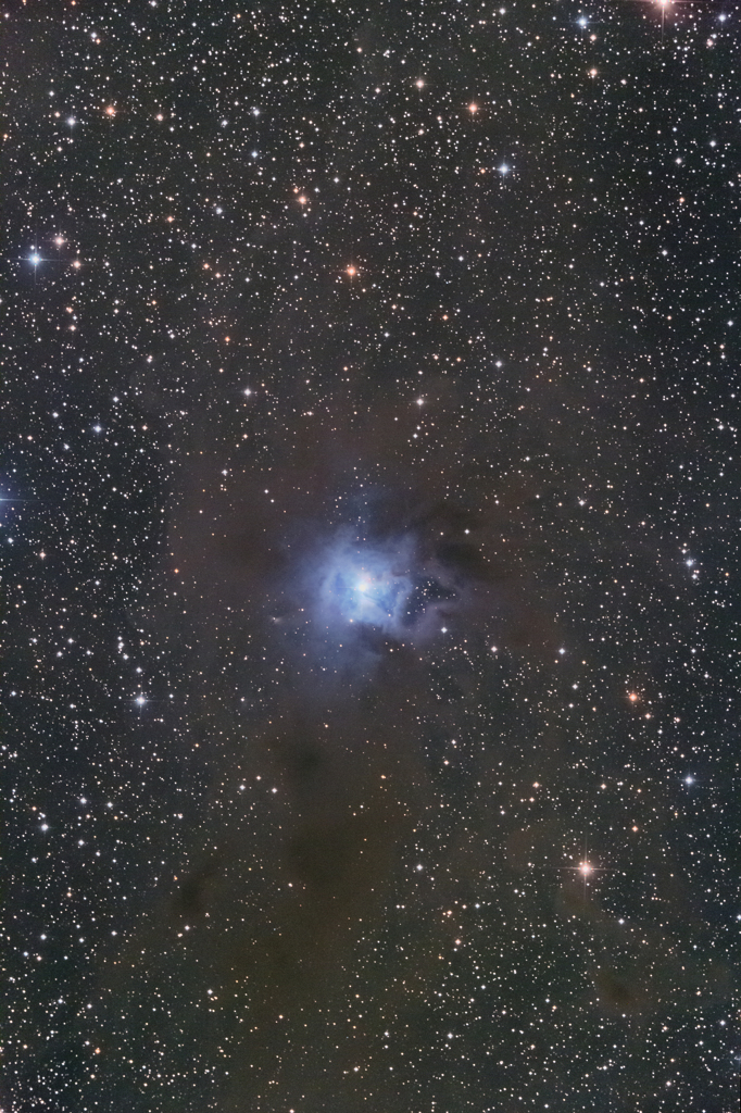 アイリス星雲 (NGC7023)