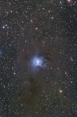 アイリス星雲 (NGC7023)