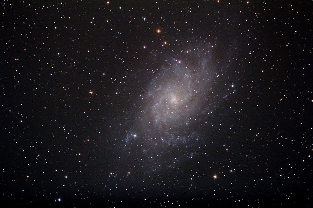 M33