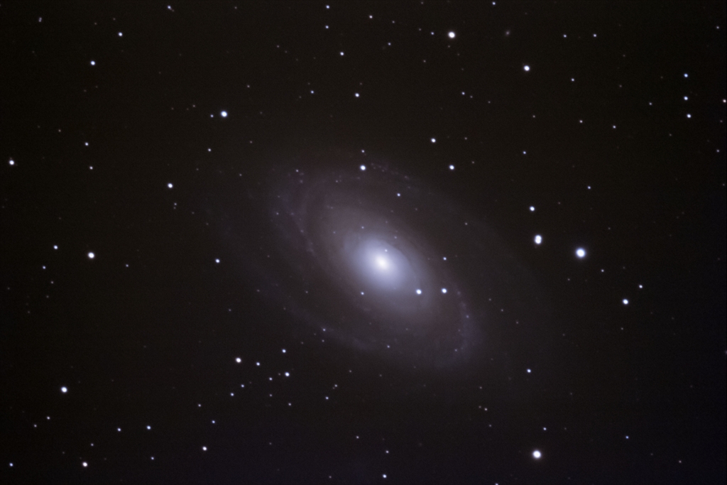 M81