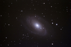 M81