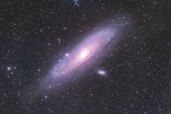 M31 試写