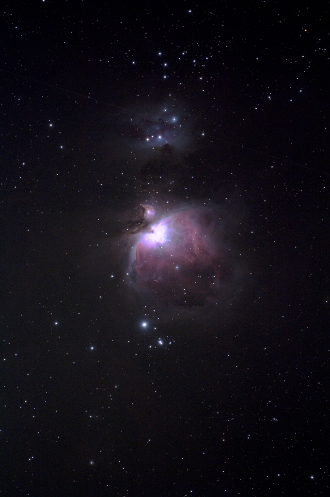 旬を先取り オリオン座 M42
