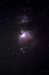 旬を先取り オリオン座 M42