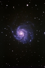 M101 試験