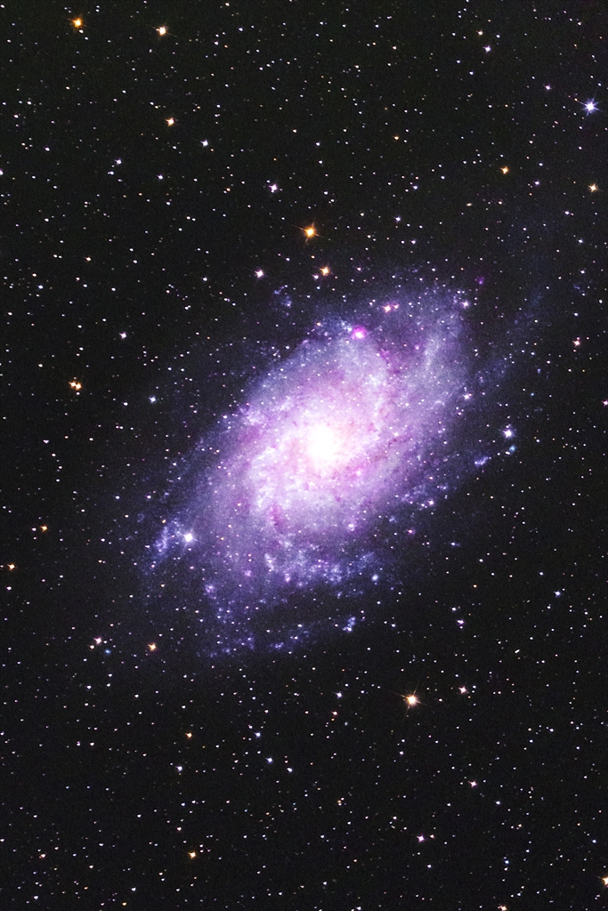 M33 試写