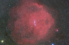 エンゼルフィッシュ星雲  とりあえず版