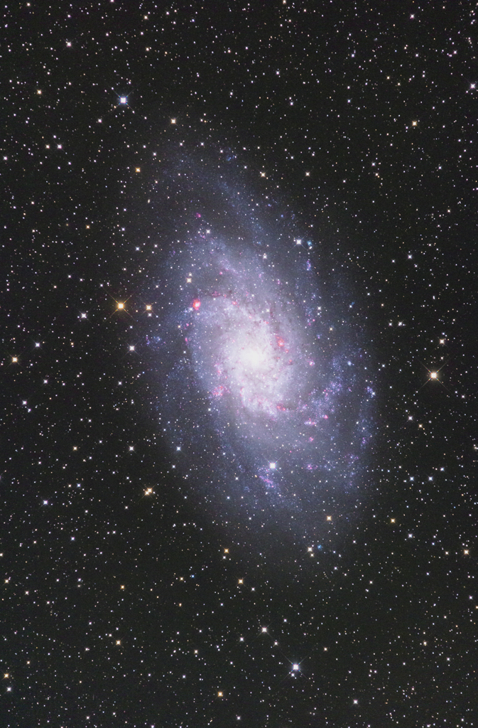 M33