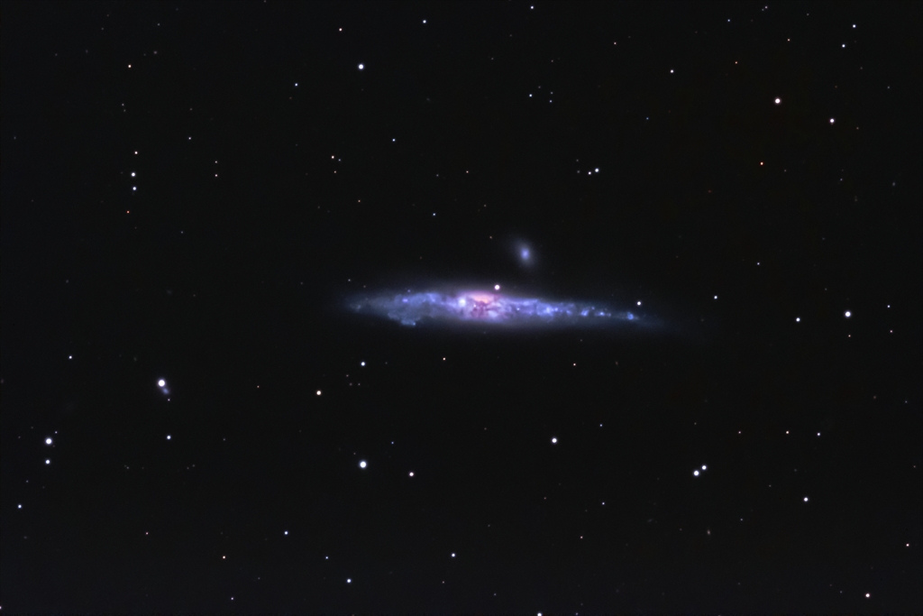 NGC4631 クジラ銀河