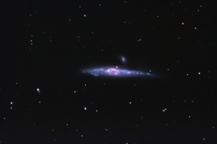 NGC4631 クジラ銀河