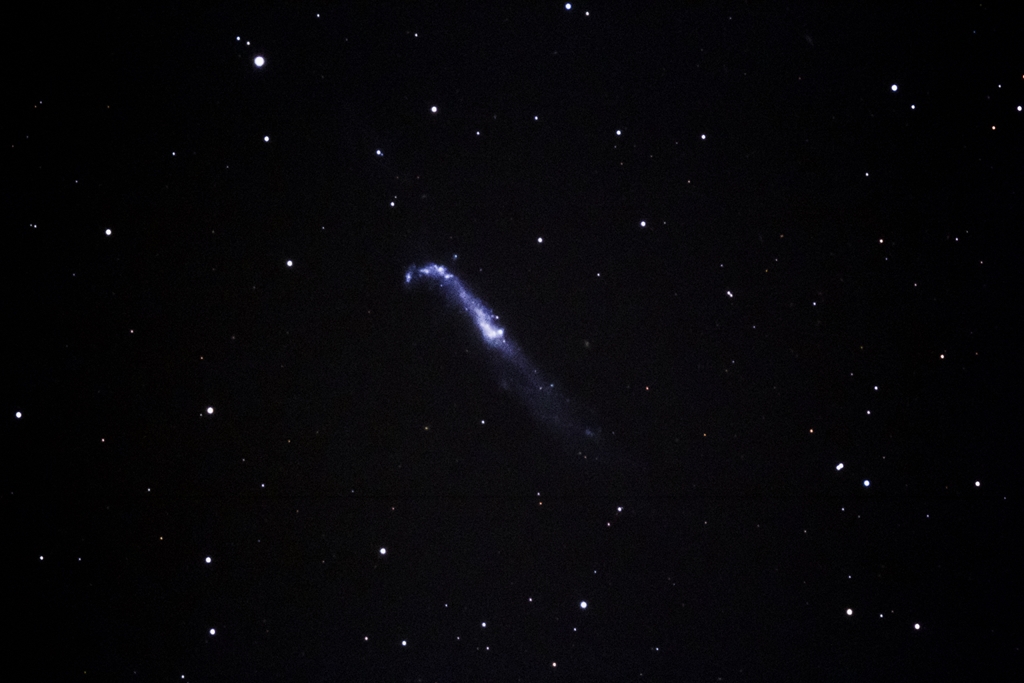 NGC4656 ＆ NGC4657 試写