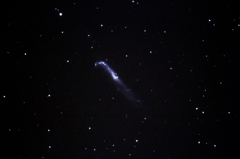 NGC4656 ＆ NGC4657 試写