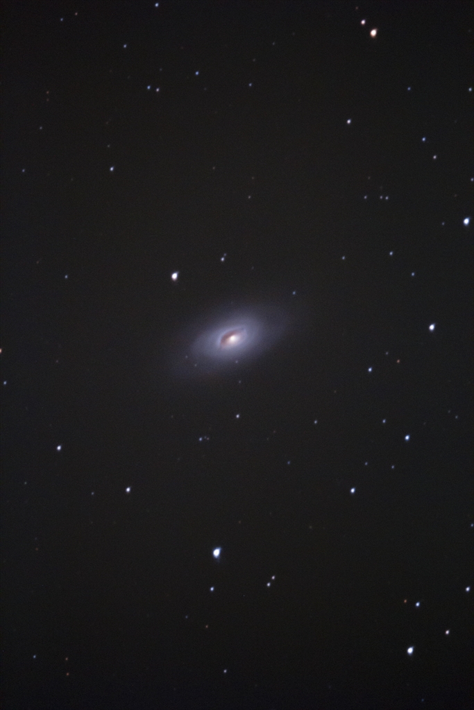 M64 試写