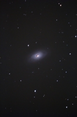 M64 試写