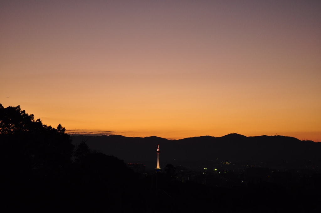 DSC_0782