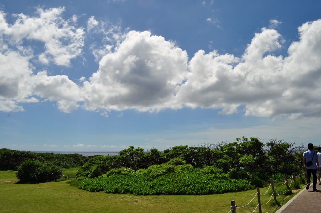 DSC_1080