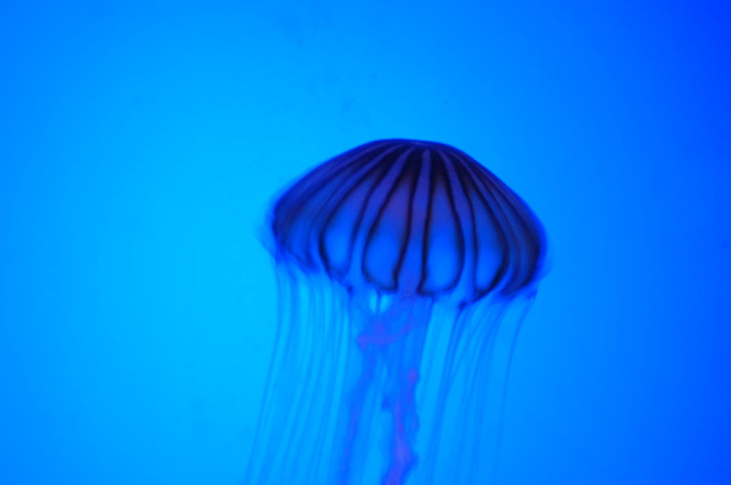 DSC_0505