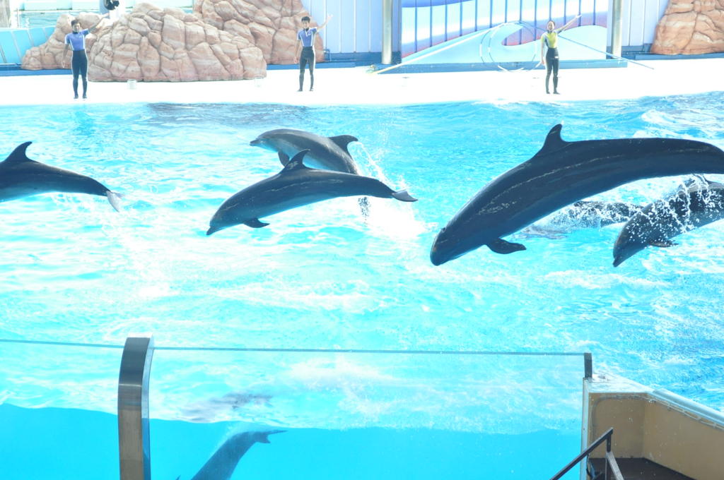 JUMP!!