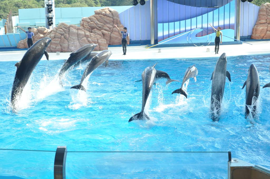 JUMP!!!