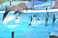 JUMP!!!