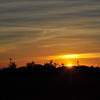 紅茶色の夕陽