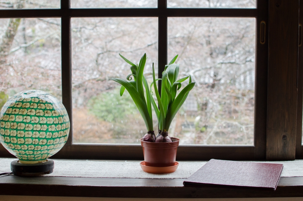 茶房　天井桟敷