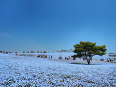 blue　world