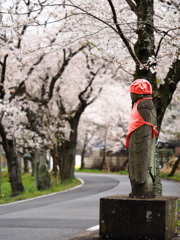 桜並木の守り神