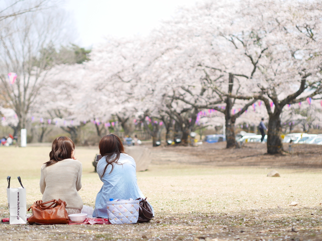 お花見女子会 By Kahuka Id 写真共有サイト Photohito