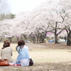 お花見女子会