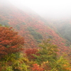 霧纏う秋山