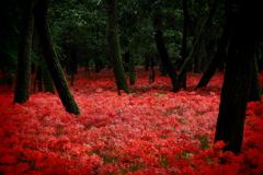 世界は紅く染まる