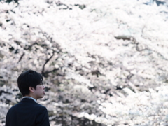 惜別の春