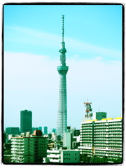 不思議の国のスカイツリー