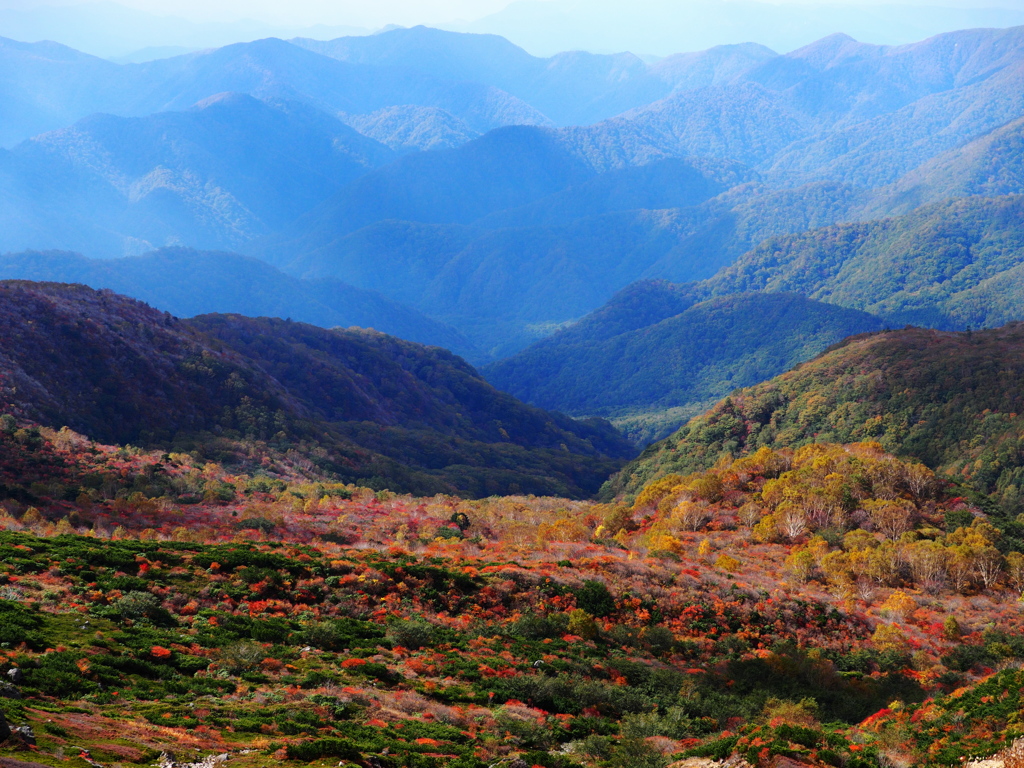 紅山