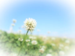 いつかみた風景