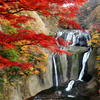 紅葉を纏って　－袋田の滝－