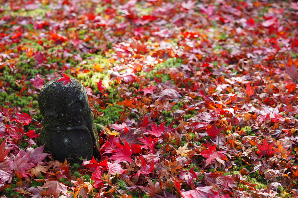 紅葉笠