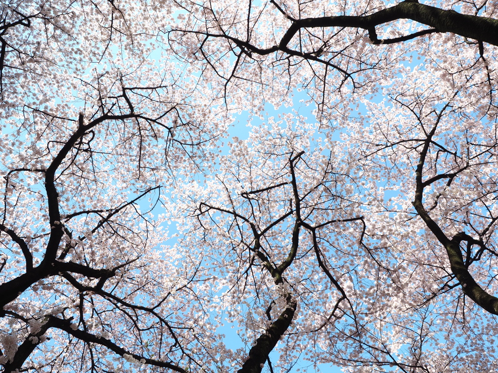春空
