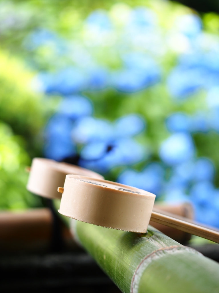 紫陽花神社