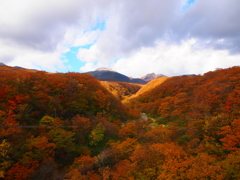 秋に染まる