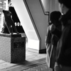 町のニューフェイス