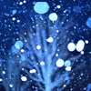 雪は夜を埋めていく