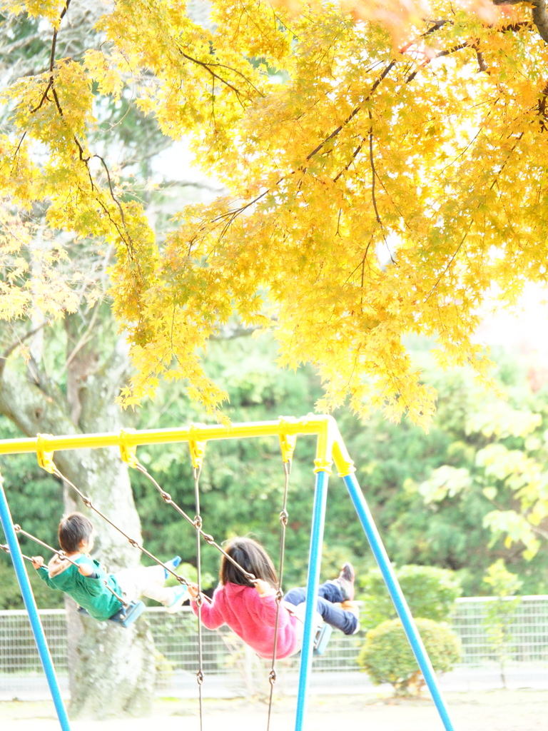 黄葉と遊ぼう