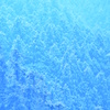 蒼雪の森