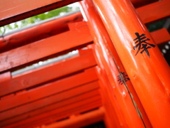 連立朱