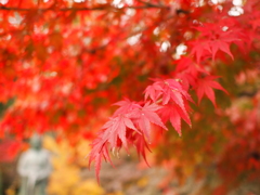 燃え立つ秋