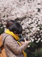 彼女の切り撮る世界は