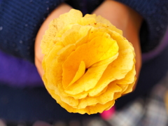 イチョウの花束