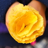 イチョウの花束